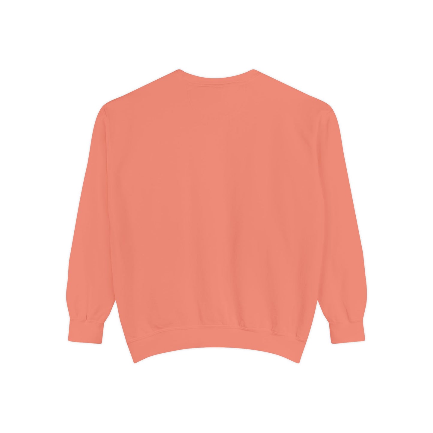 Z SWEATSHIRT