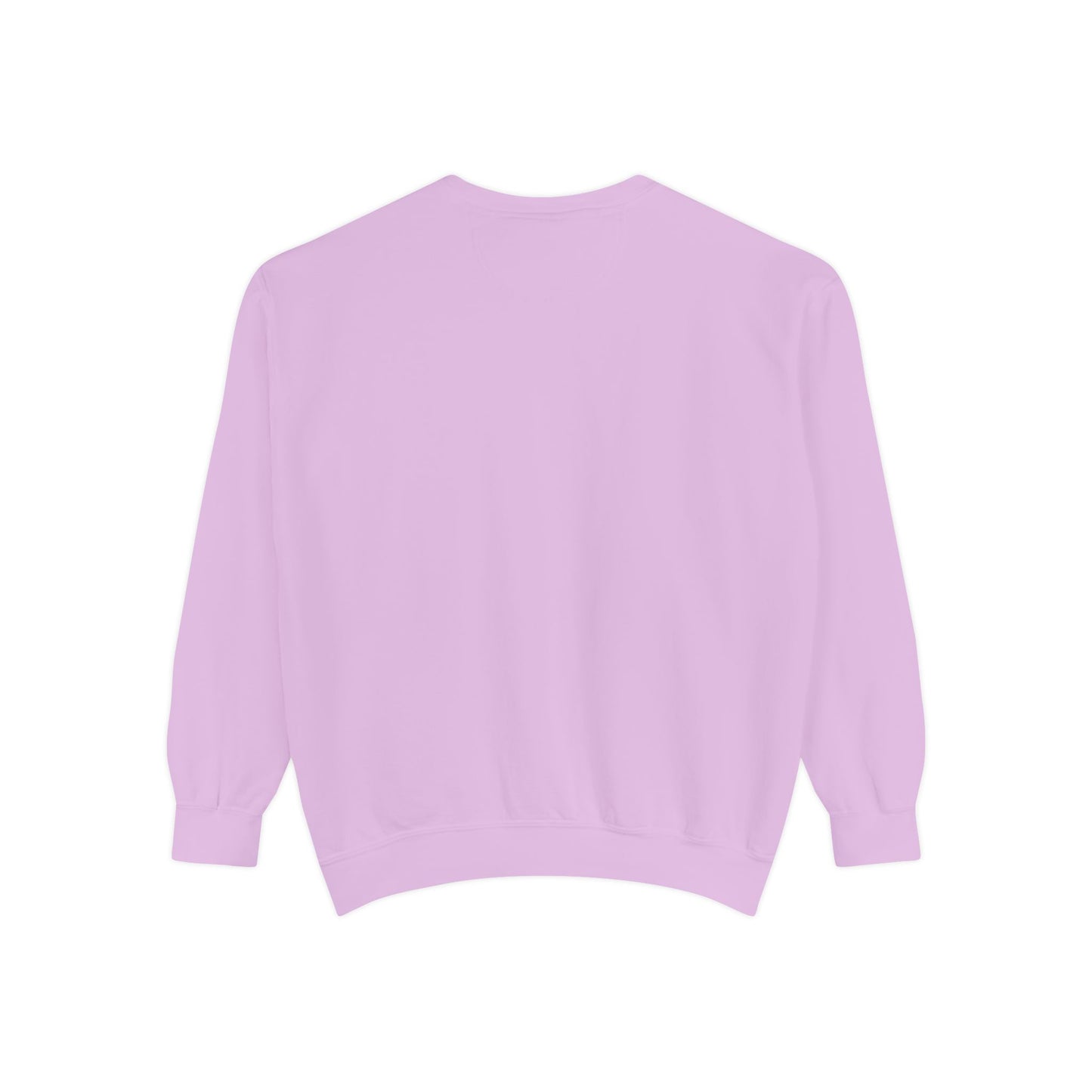 Z SWEATSHIRT